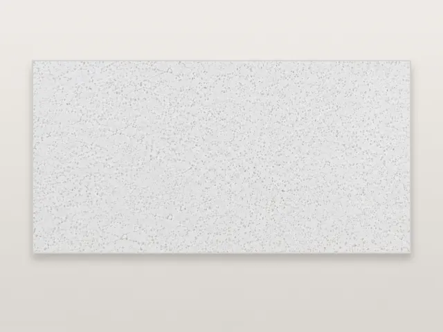White Speckle quartz surface