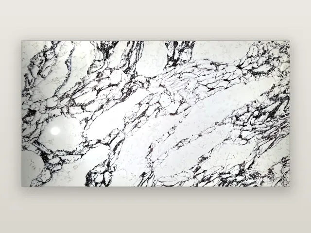 Panda White Bold quartz surface